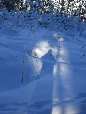 dobelwinter1