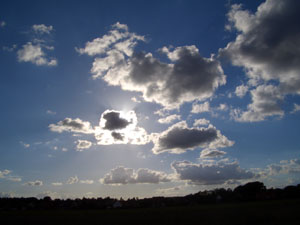himmelheide