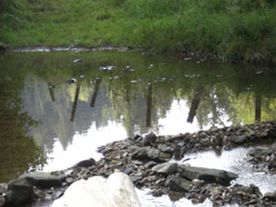 wasserspiegel