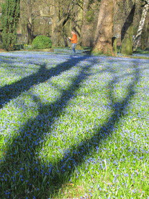 linden blau 10