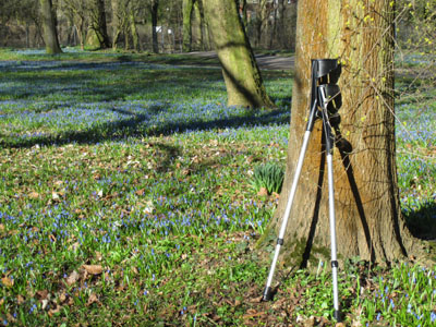 linden blau 102