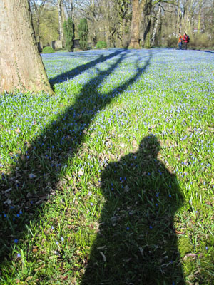 linden blau 103