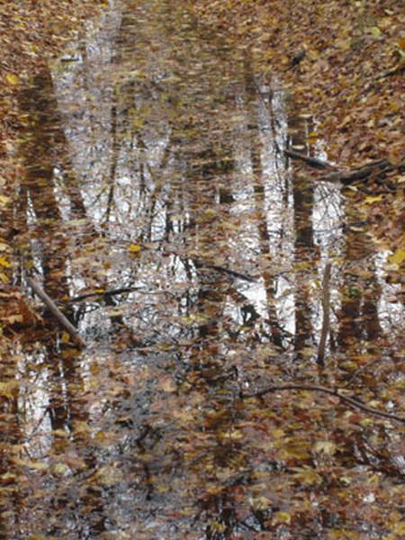 herbst10