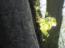 IMG 4182
