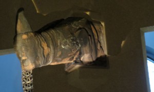 museum4