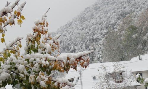 schneeokt