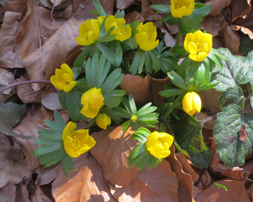 2013 03 03_0963