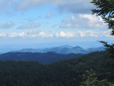 schwarzwald