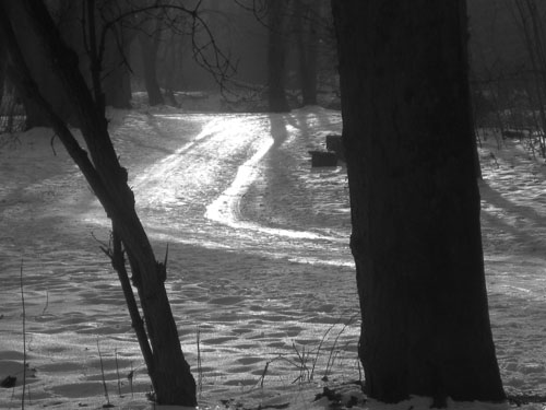 schnee und eis 013