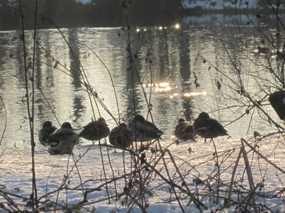 schnee und eis 021