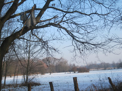 schnee und eis 028