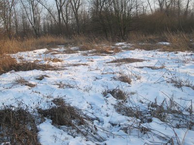 schnee und eis 038