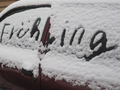 winter 002