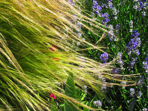 berggarten 002