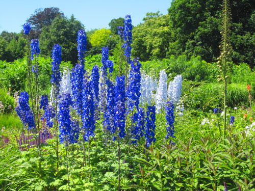 berggarten 018