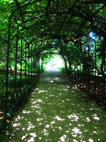 berggarten 036