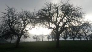 20151122_091503