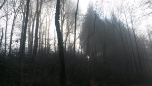 20151127_095017