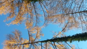 20151202_134508