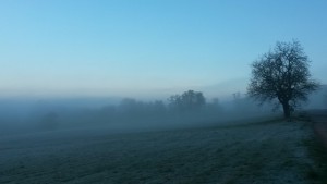 20151203_085254