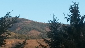 20151207_153344